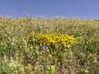 /album/fotogallerij/a124-jpg/