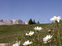 /album/fotogallerij/a125-jpg/