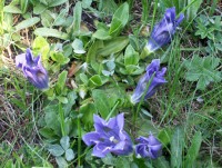 /album/fotogallerij/a126-jpg/