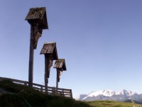 /album/fotogallerij/a139-jpg/